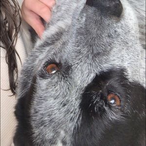 Meet your Posher, Caitlin